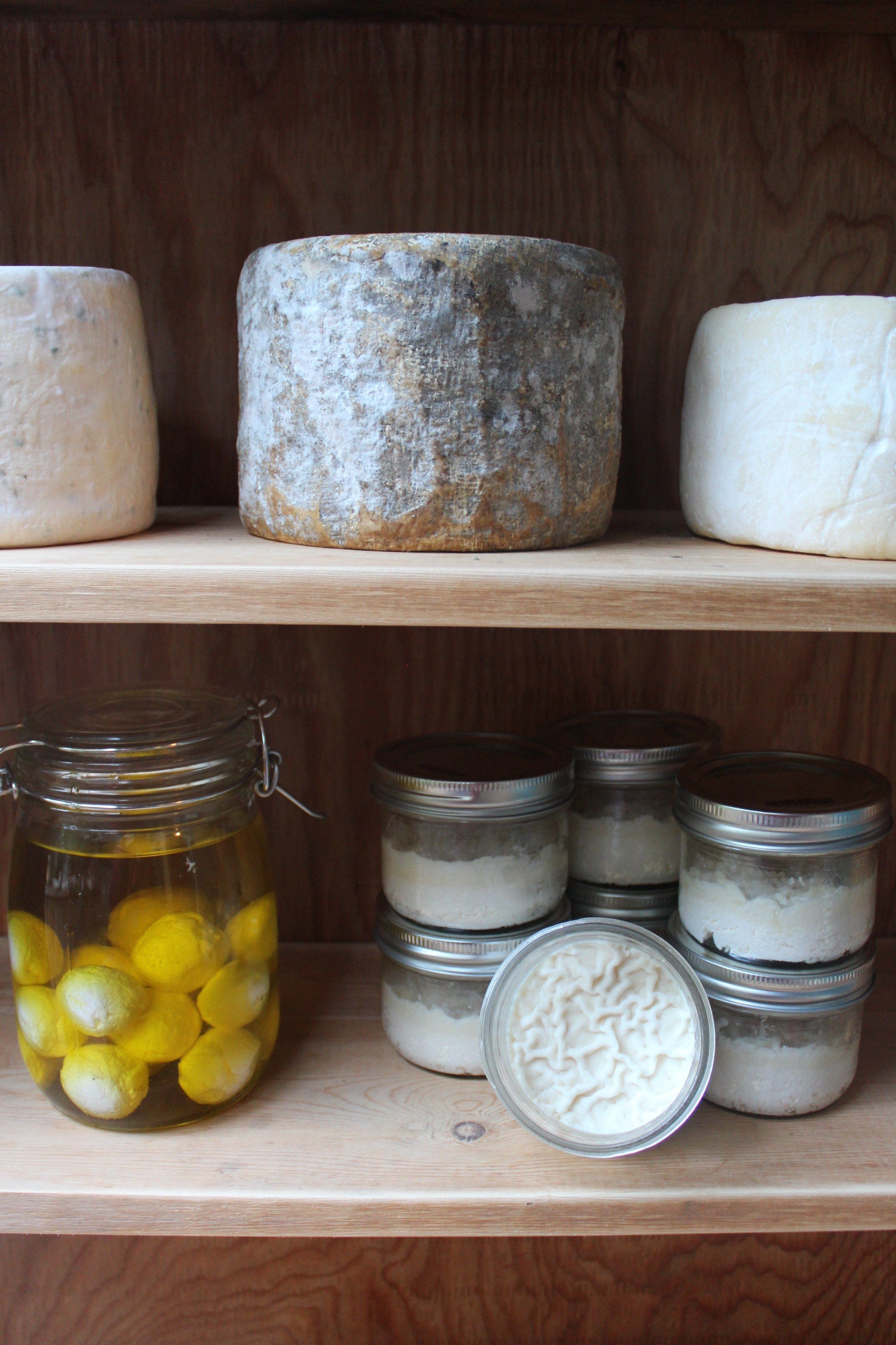 Apprendre la fabrication de fromages naturels avec David Asher